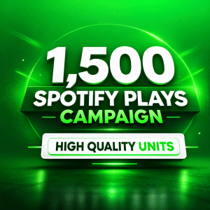 1,500 Spotify Plays High Quality Promotion Package