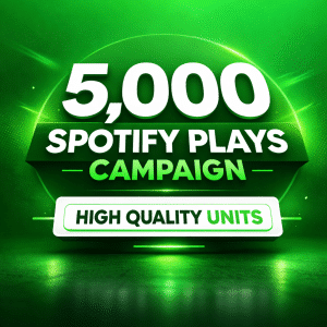 5,000 Spotify Plays High Quality Promotion Package
