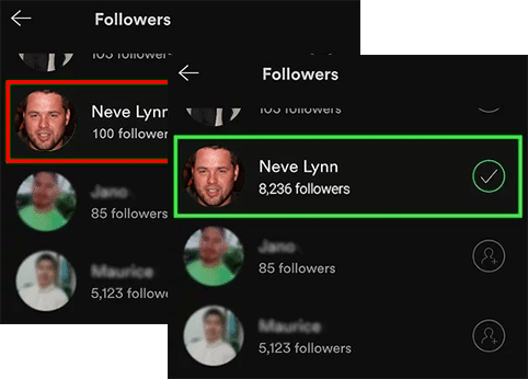 Spotify Music Campaign Increaser