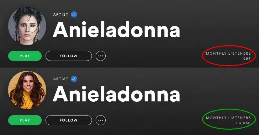 Home 91 Music Campaigns - Grow Your Organic Audience - Monthly Listeners