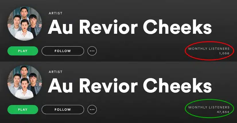 Home 93 Music Campaigns - Grow Your Organic Audience - Monthly Listeners